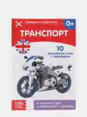 Серый развивающие карточки по методике Г. Домана в одном месте (мега)