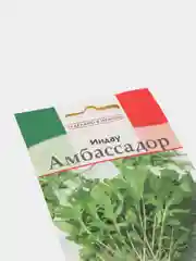 Семена Руккола Индау "Амбассадор"