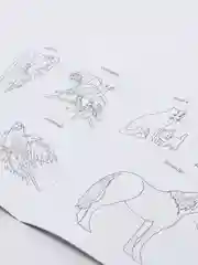 РАСКРАСКА. Игрушки. Фрукты. Овощи. Ягоды. Грибы. Птицы. Животные. Транспорт