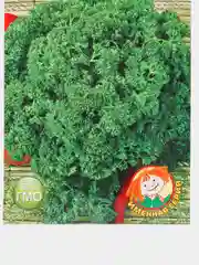 Семена Петрушка кудрявая "Машка-кудряшка"