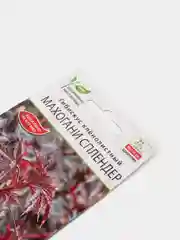 Семена Гибискус "Махогани сплендер"