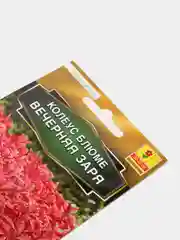 Семена Колеус блюме  Вечерняя заря
