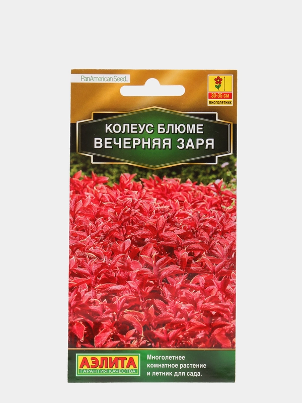Семена Колеус блюме  Вечерняя заря