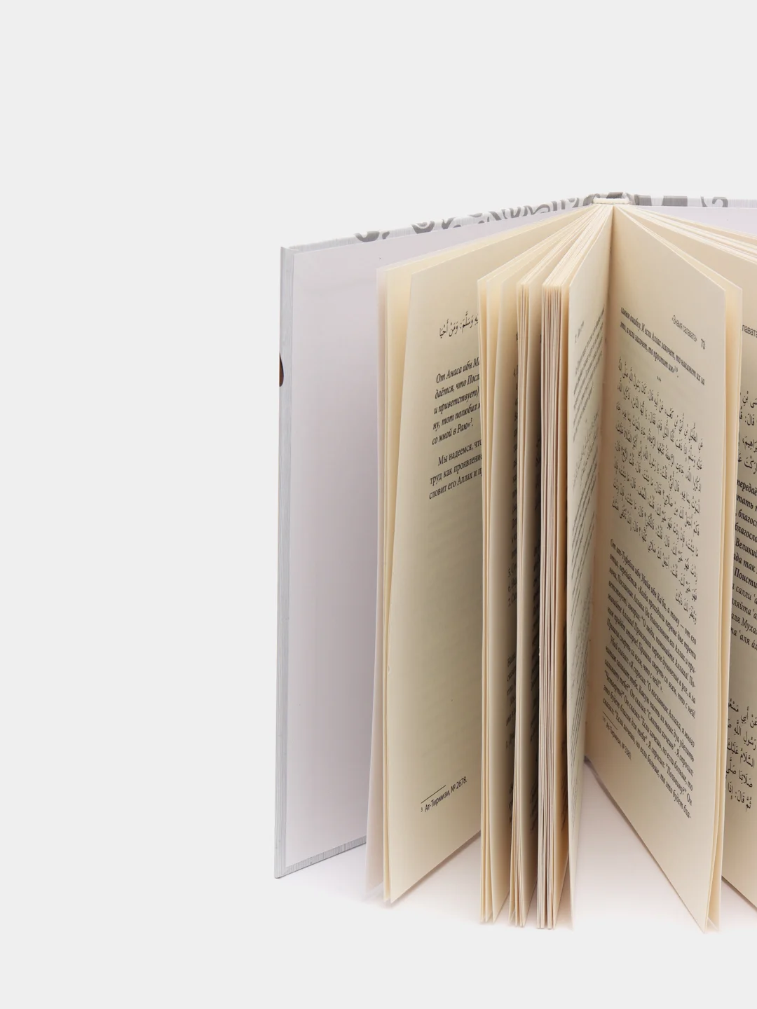 Книга Дары Сунны, Даруль Фикр