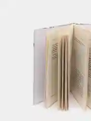 Книга Дары Сунны, Даруль Фикр