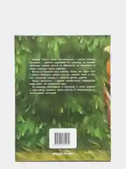 Енотик находит друзей. Поучительная сказка для малышей. Сказкотерапия, Зартайская И.В