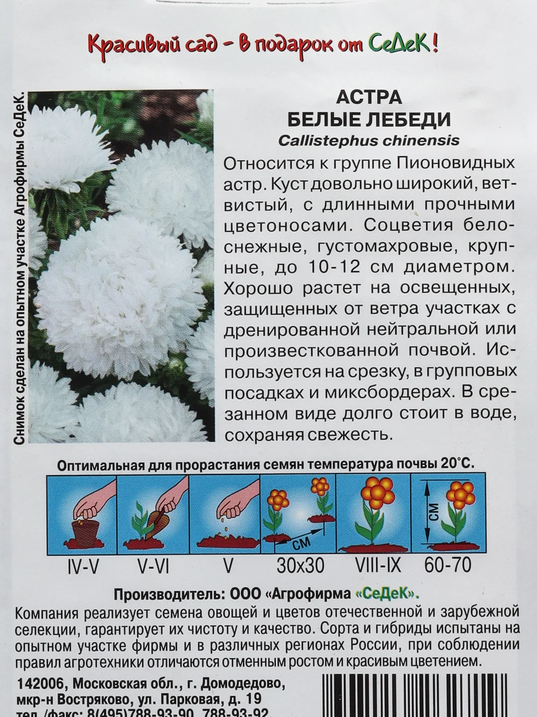 Семена цветов Астра "Белые лебеди", пионовидная, белая, О, 0,2 г
