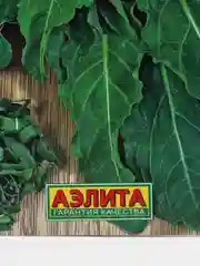 Семена Щавель "Бельвильский"