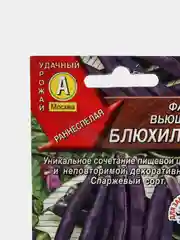Фасоль вьющаяся спаржевая Блюхильда
