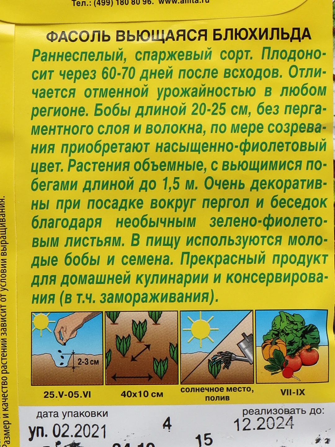 Фасоль вьющаяся спаржевая Блюхильда