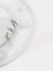 Белый наклейка на авто "Live to hunt hunt to live"