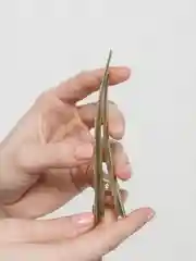 Золотой заколки