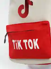 Бежевый рюкзак для школы, 3 цвета