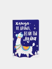 Обложка на паспорт