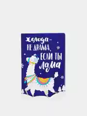 Обложка на паспорт