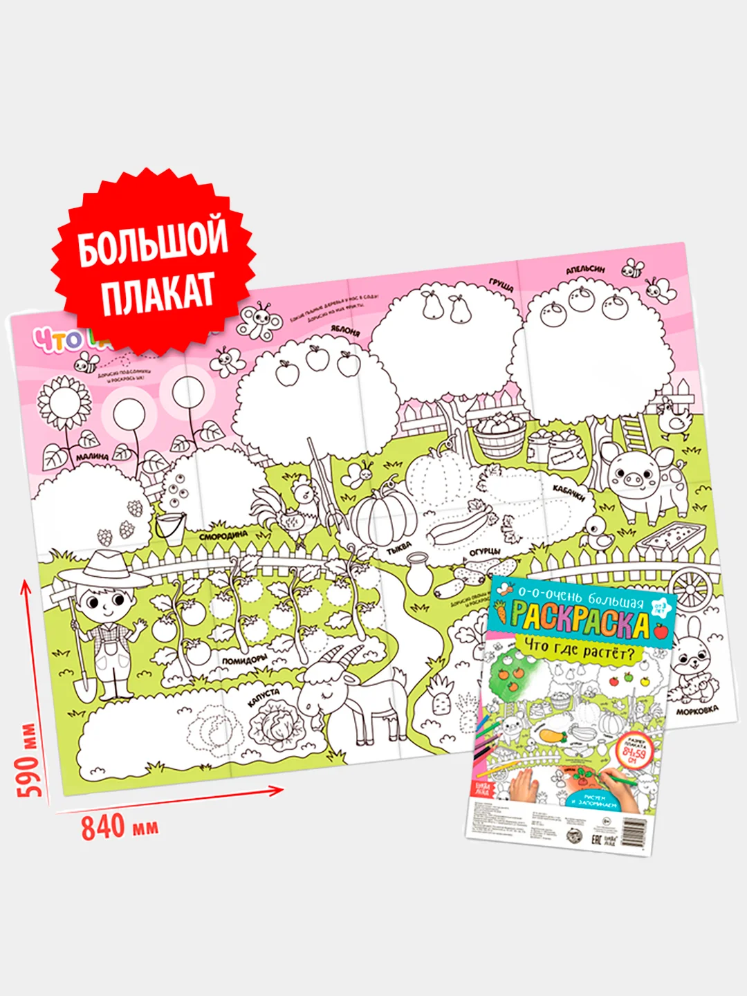 Раскраска гигант