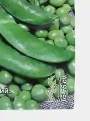Семена Горох (набор 2 уп) "Медовая лопатка"