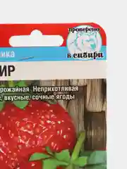 Семена Земляника "Зефир"
