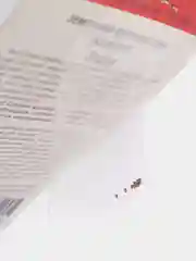 Семена Земляника "Зефир"