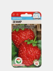 Семена Земляника "Зефир"