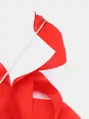 Лента гимнастическая разных цветов, 4 м
