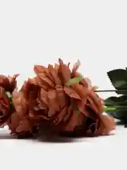 Коричневый цветы искусственные пион