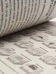 Эстетическая косметология: учебное пособие, Шекспир Уильям
