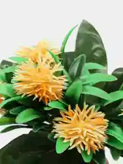 Манго искуственные трава Ёжики