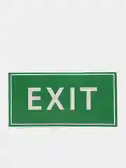 Наклейка знак EXIT, 20 х 10 см