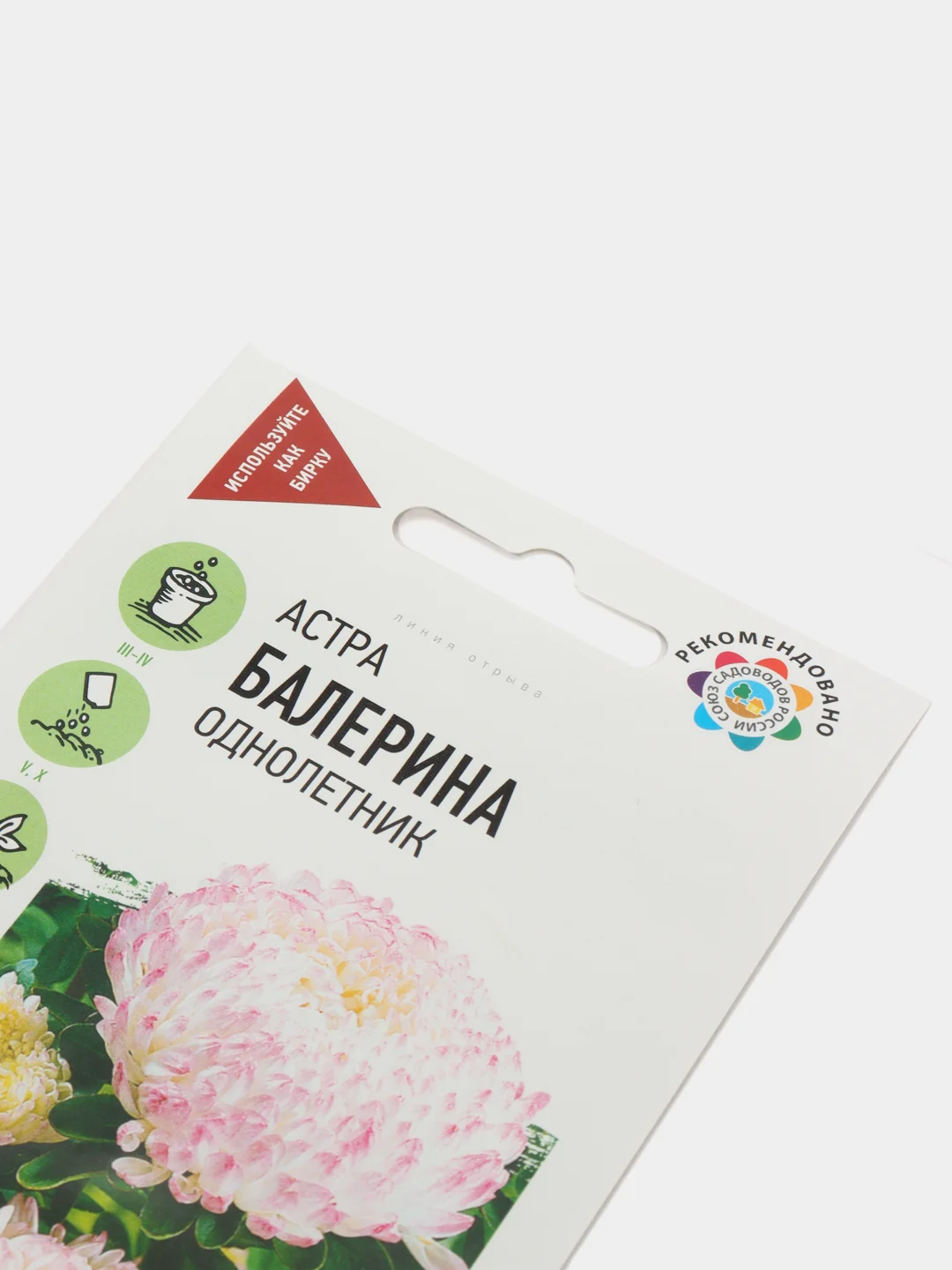 Семена Астра "Балерина"
