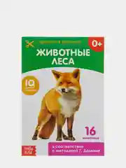 Бордовый развивающие книги-карточки Домана, 20 страниц