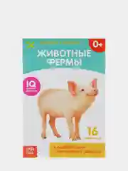 Кремовый развивающие книги-карточки Домана, 20 страниц
