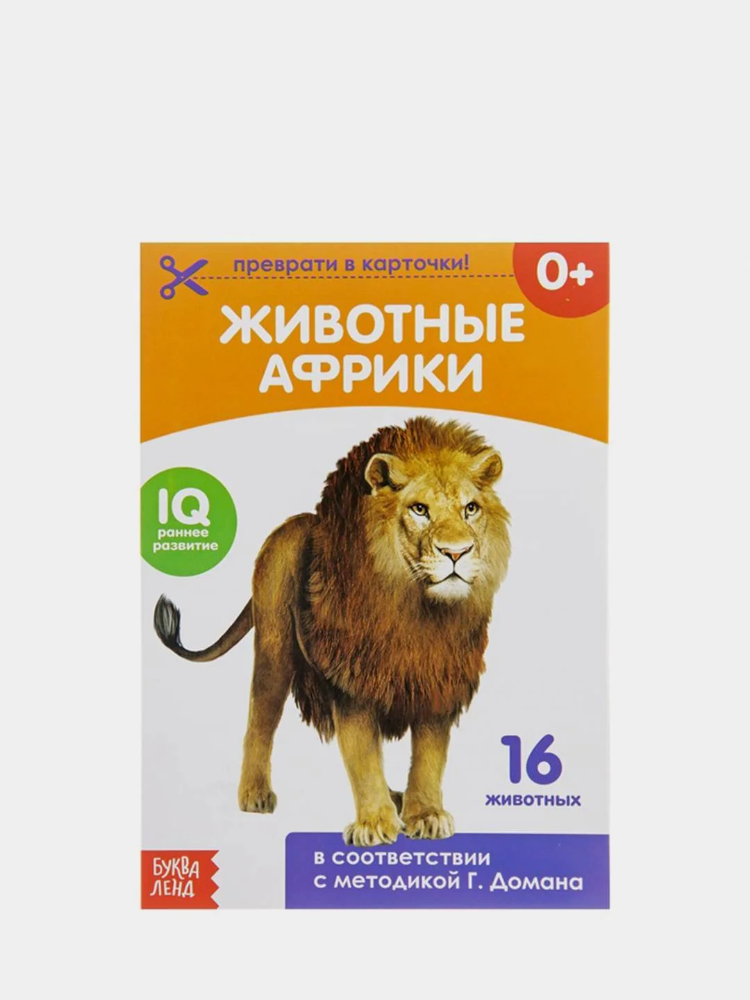 Бирюзовый развивающие книги-карточки Домана, 20 страниц