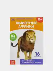 Бирюзовый развивающие книги-карточки Домана, 20 страниц