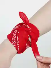 Красный бандана с классическим принтом