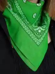 Бирюзовый бандана с классическим принтом