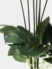 Белый цветы искусственные пион