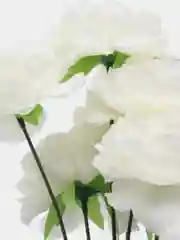 Белый цветы искусственные пион