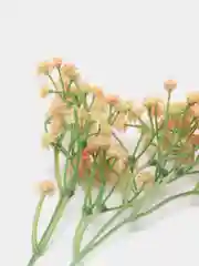 Светло-жёлтый искусственные цветы Гипсофила, Веточка цветов Гипсофилус