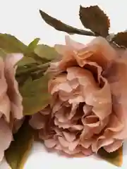 Песочный хаки цветы  искусственные пион