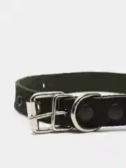Ошейник брезентовый для собак "Strong Dog" камуфляж зеленый, 45 см, 20 мм