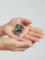 Авторская брошь "Черный лебедь"