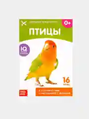 Алый развивающие книги-карточки Домана, 20 страниц
