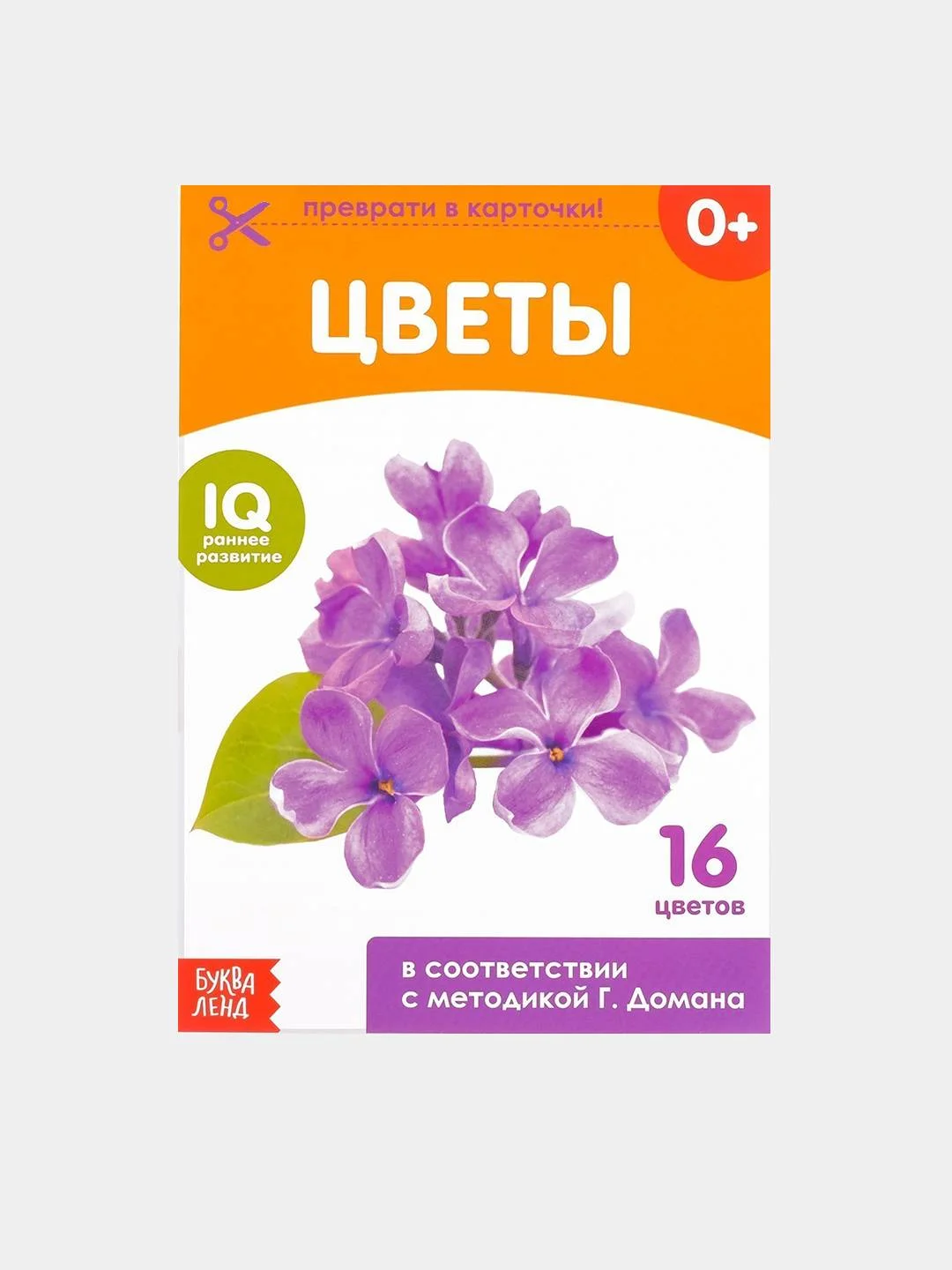 Бронзовый развивающие книги-карточки Домана, 20 страниц