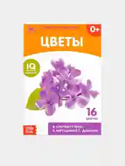 Бронзовый развивающие книги-карточки Домана, 20 страниц