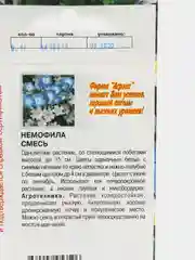 Семена цветов "Немофила", однолетние, 0,1 г