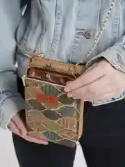 Бронзовый сумка женская