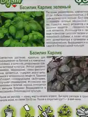 Семена Базилик "Карлик зеленый + Карлик"