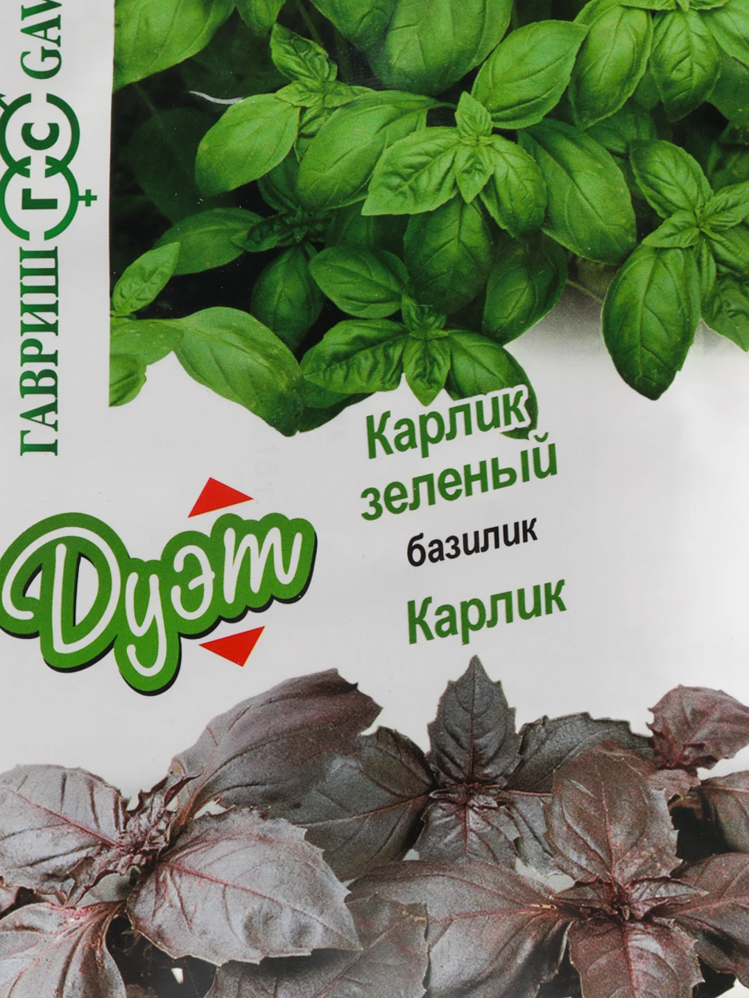 Семена Базилик "Карлик зеленый + Карлик"
