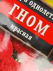 Семена Астра однолетняя "Гном", красная